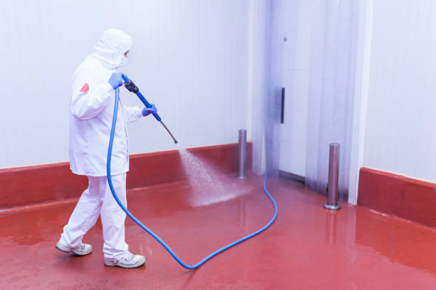  Menahga, MN Pressure Washing Pros