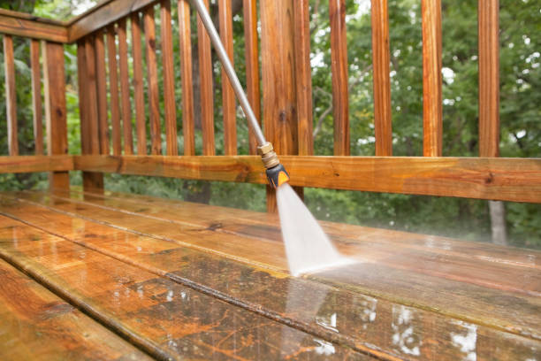 Best Roof Cleaning and Mildew Removal in Menahga, MN